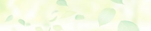 top_bg002
